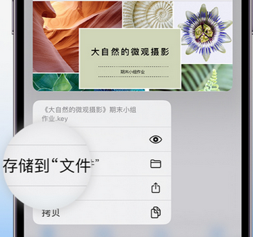 玉州apple维修中心分享iPhone文件应用中存储和找到下载文件