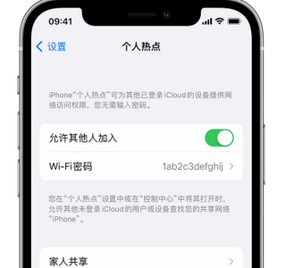 玉州apple服务站点分享iPhone上个人热点丢失了怎么办 