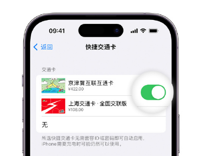 玉州apple维修点分享iPhone上更换Apple Pay快捷交通卡手绘卡面 