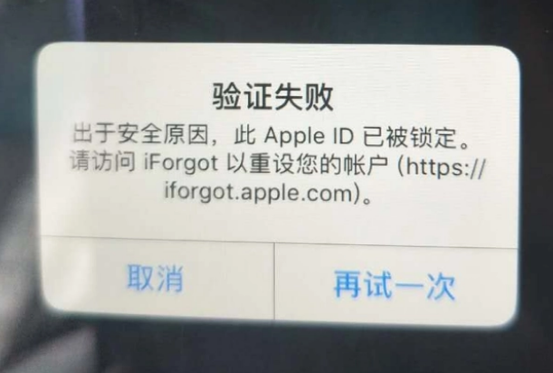 玉州iPhone维修分享iPhone上正常登录或使用AppleID怎么办 