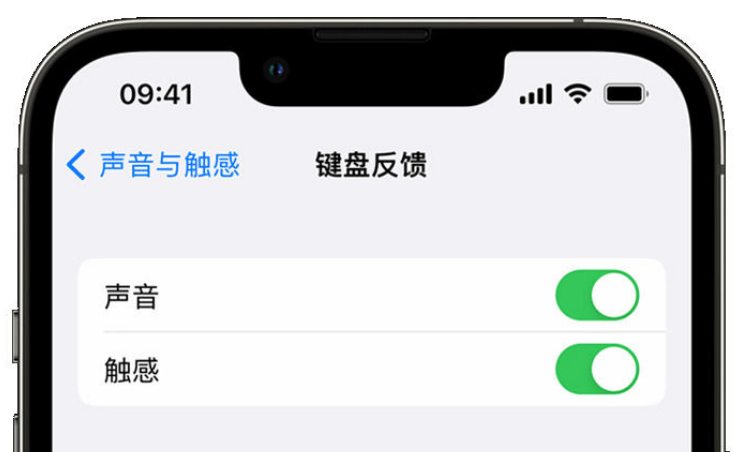 玉州苹果手机维修分享iPhone 14触感键盘使用方法 