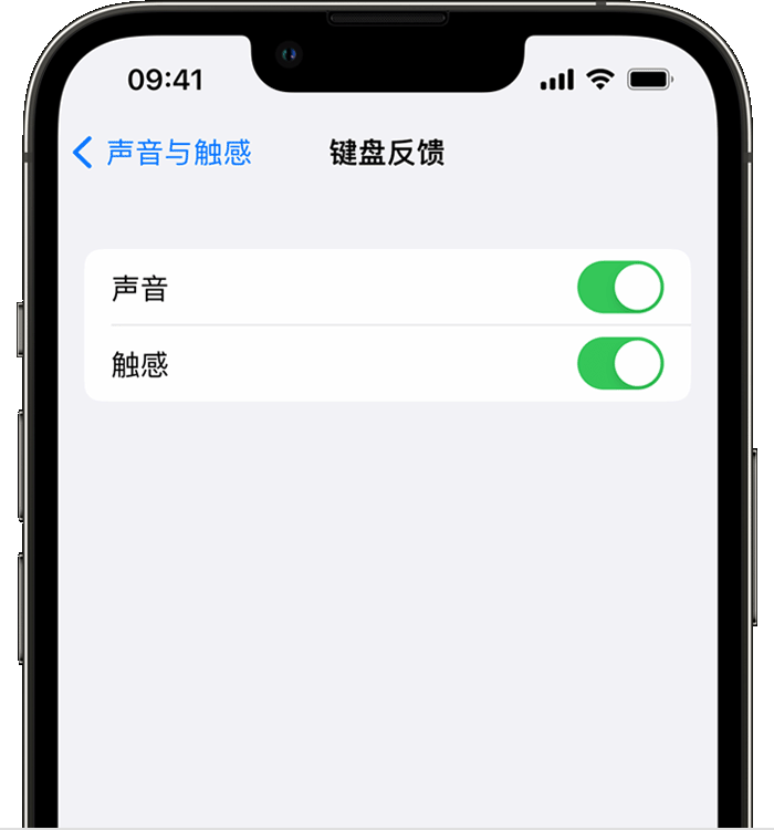 玉州苹果14维修店分享如何在 iPhone 14 机型中使用触感键盘 