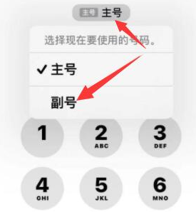 玉州苹果14维修店分享iPhone 14 Pro Max使用副卡打电话的方法 