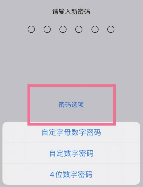 玉州苹果14维修分享iPhone 14plus设置密码的方法 