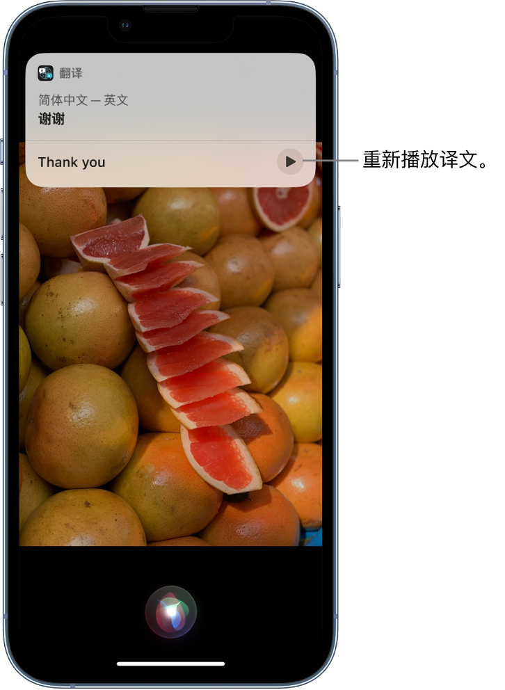 玉州苹果14维修分享 iPhone 14 机型中使用 Siri：了解 Siri 能帮你做什么 