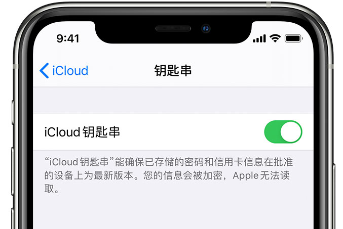 玉州苹果手机维修分享在 iPhone 上开启 iCloud 钥匙串之后会储存哪些信息 