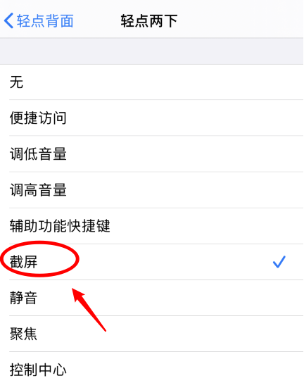 玉州苹果手机维修分享iPhone12如何启用双击截屏 