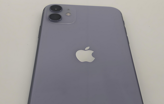 玉州苹果11系统维修分享iPhone11手机系统崩溃无法开机如何解决 